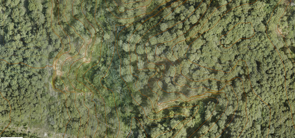 Carto bosc restitucio