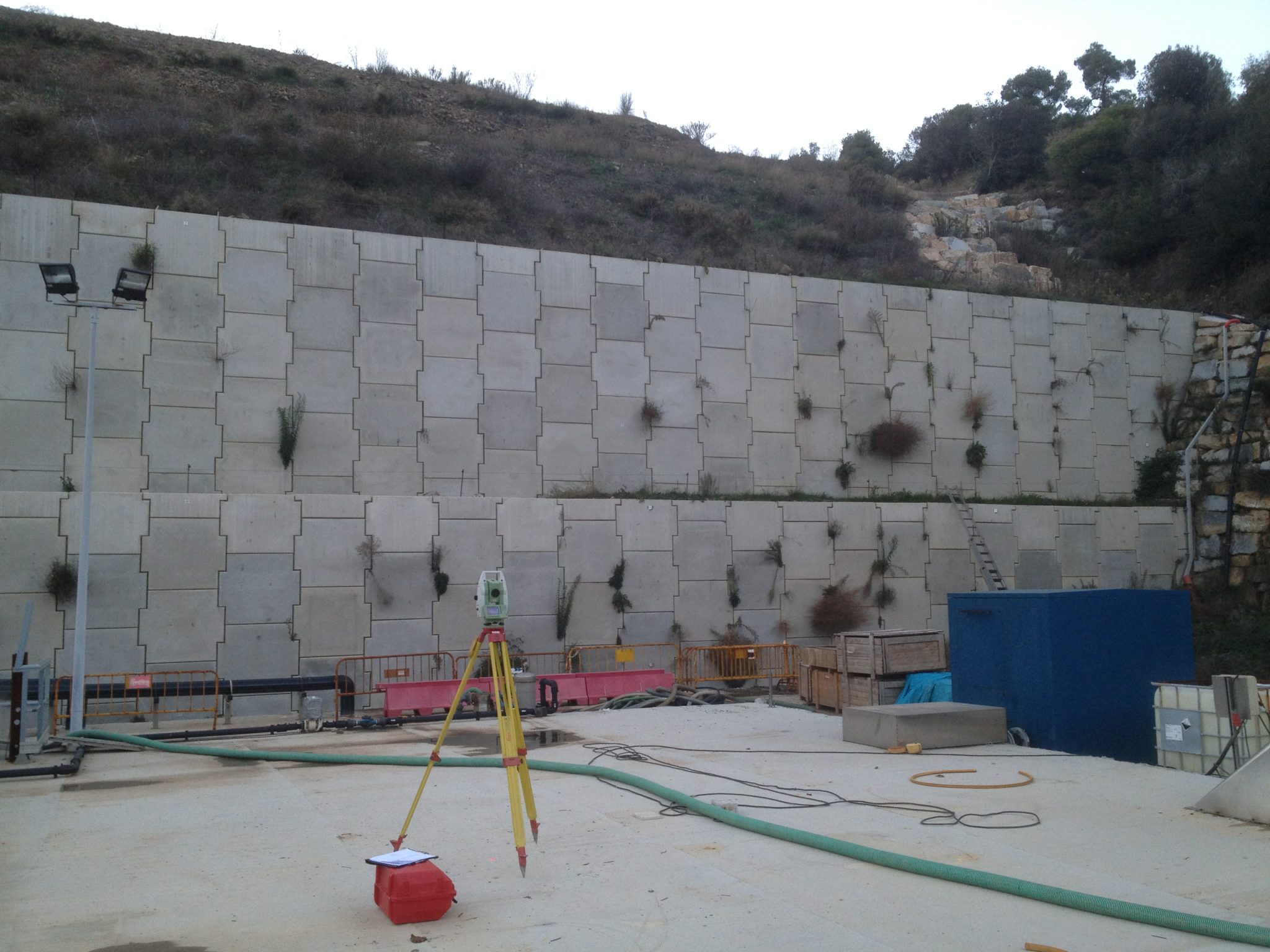 mur_coll_cardus_Altipla